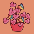 avatar for clare_hooley