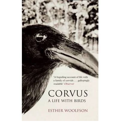 Esther Woolfson: Corvus (Paperback, Granta Publications, imusti)