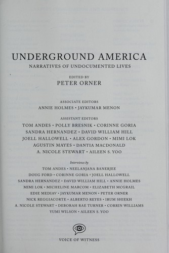 Peter Orner: Underground America (2008, McSweeney's Books)