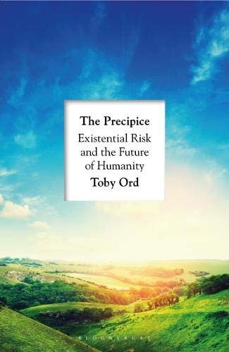 The Precipice (Hardcover)