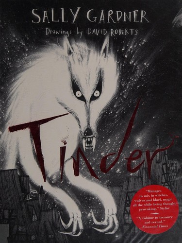 Sally Gardner: Tinder (2013, Indigo, Orion Publishing Group, Limited)