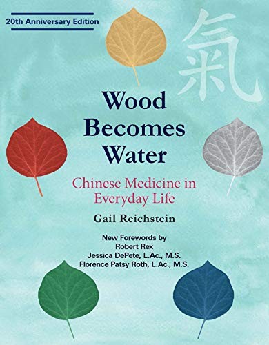 Gail Reichstein: Wood Becomes Water (Paperback, 2018, Kodansha USA)