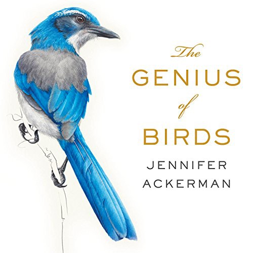 Jennifer Ackerman, Margaret Strom: The Genius of Birds (AudiobookFormat, 2016, HighBridge Audio)