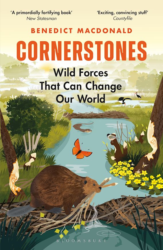 Benedict Macdonald: Cornerstones (2023, Bloomsbury Publishing Plc)