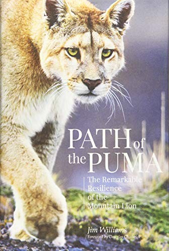 Jim Williams: Path of the Puma (Hardcover, 2018, Patagonia)