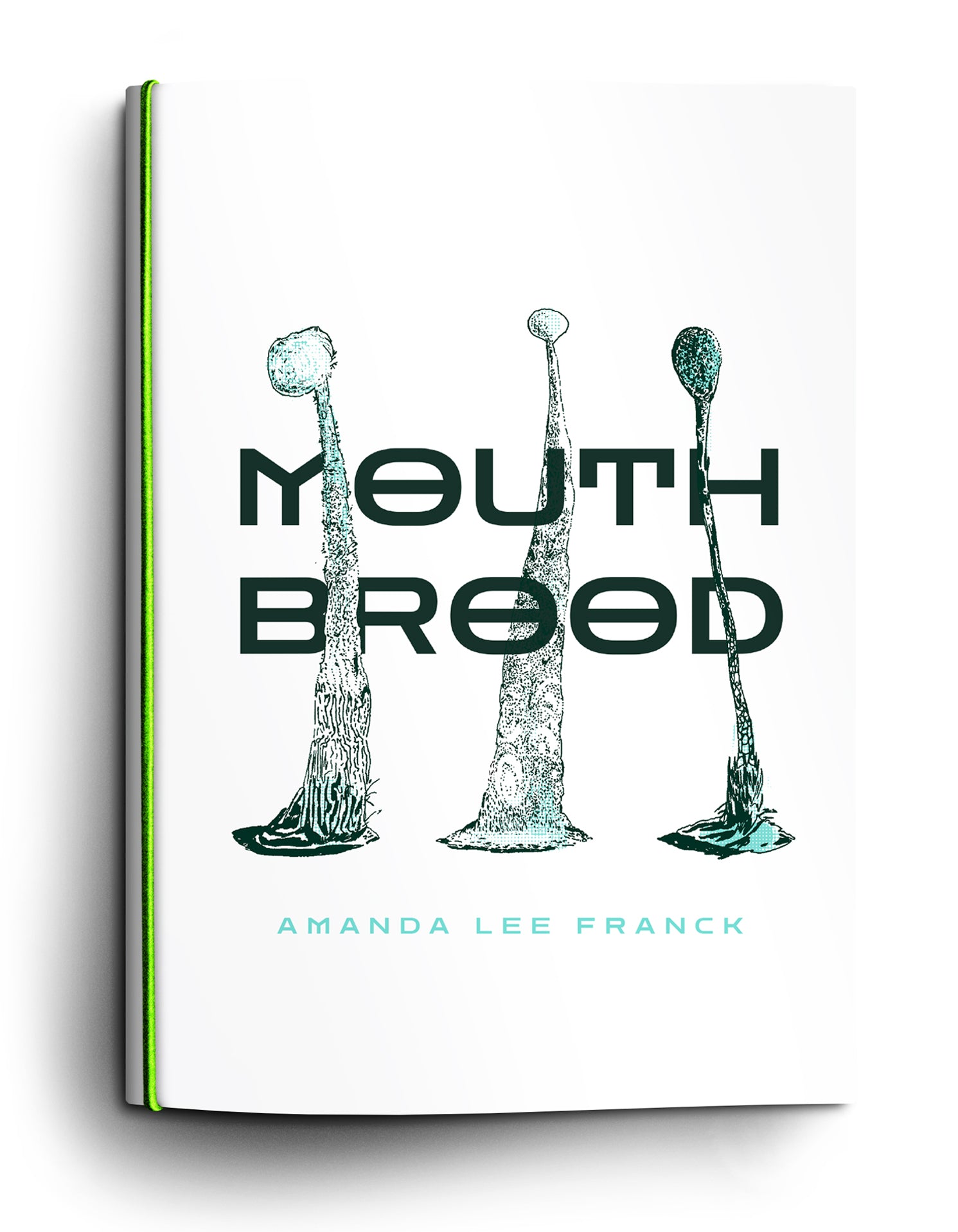 Amanda Lee Franck: Mouth Brood (Paperback, 2020, Games Omnivorous)