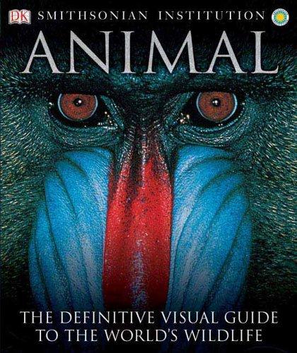 David Burnie: Animal (Paperback, 2005, DK ADULT)