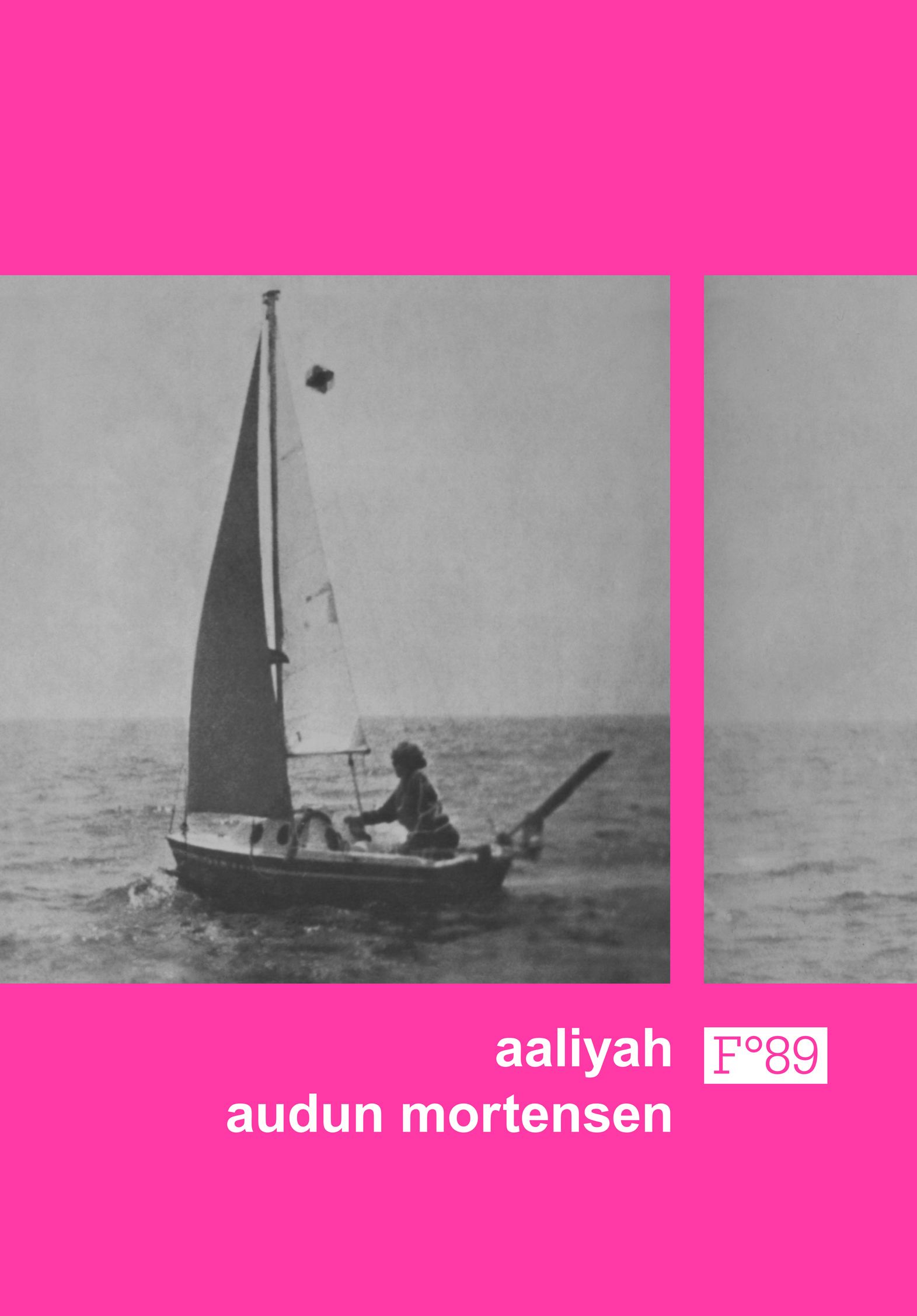 Audun Mortensen: Aaliyah (Hardcover, Bokmål language, Flamme Forlag)