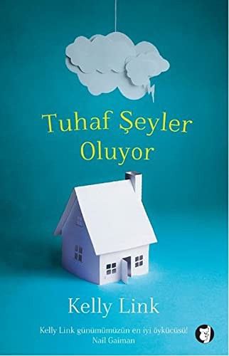 Kelly Link: Tuhaf Seyler Oluyor (Paperback, Aylak Kitap)