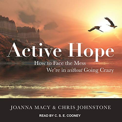 Joanna Macy, Chris Johnstone: Active Hope (AudiobookFormat, Tantor and Blackstone Publishing)