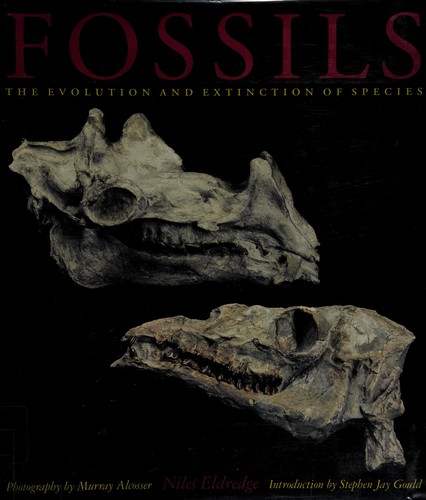 Niles Eldredge: Fossils (Hardcover, 1991, Harry N Abrams)