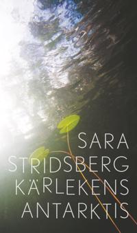 Sara Stridsberg: Kärlekens antarktis (Hardcover, Albert Bonniers förlag)