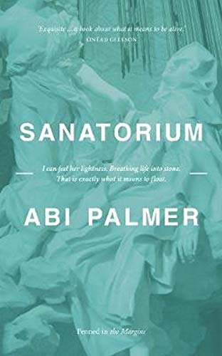 Abi Palmer: Sanatorium (Paperback, Penned in the Margins)