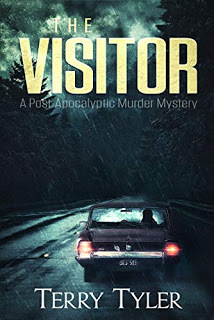 Terry Tyler: The Visitor (EBook, Terry Tyler)