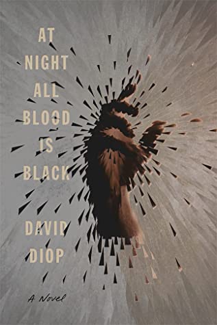 Anna Moschovakis, David Diop: At Night All Blood Is Black (2020, Farrar, Straus & Giroux)