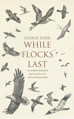 Charlie Elder: While Flocks Last (Hardcover, 2009, Bantam Press)