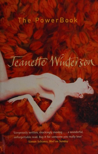 Jeanette Winterson: The powerbook (2001, Vintage)