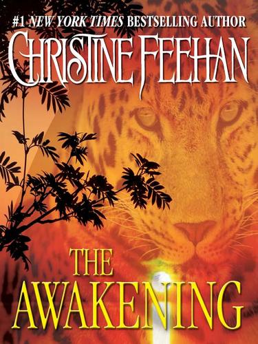 Christine Feehan: The Awakening (EBook, 2009, Penguin USA, Inc.)