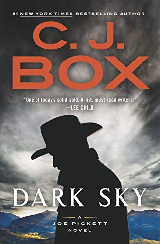 C.J. Box: Dark Sky (Hardcover, 2021, Thorndike Press Large Print)