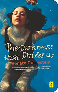 Hester Velmans, Renate Dorrestein: Darkness That Divides Us (Paperback, 2015, World International Publishing)