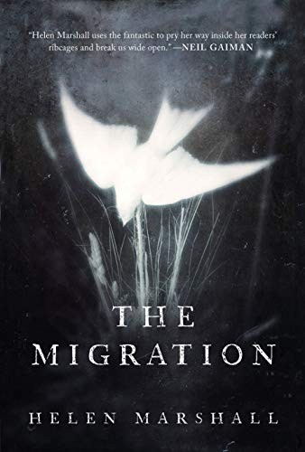 Helen Marshall: The Migration (Paperback, 2019, Random House Canada)