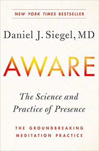 Daniel J. Siegel: Aware (2018)