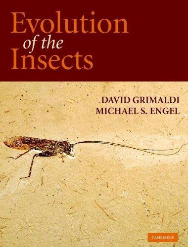 Michael S. Engel, David Grimaldi: Evolution of the Insects (2005)