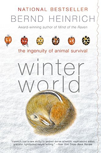 Bernd Heinrich: Winter World (Paperback, 2003, HarpPeren)