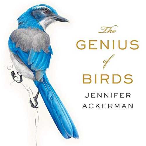 Jennifer Ackerman: The Genius of Birds (AudiobookFormat, 2021, Highbridge Audio and Blackstone Publishing)