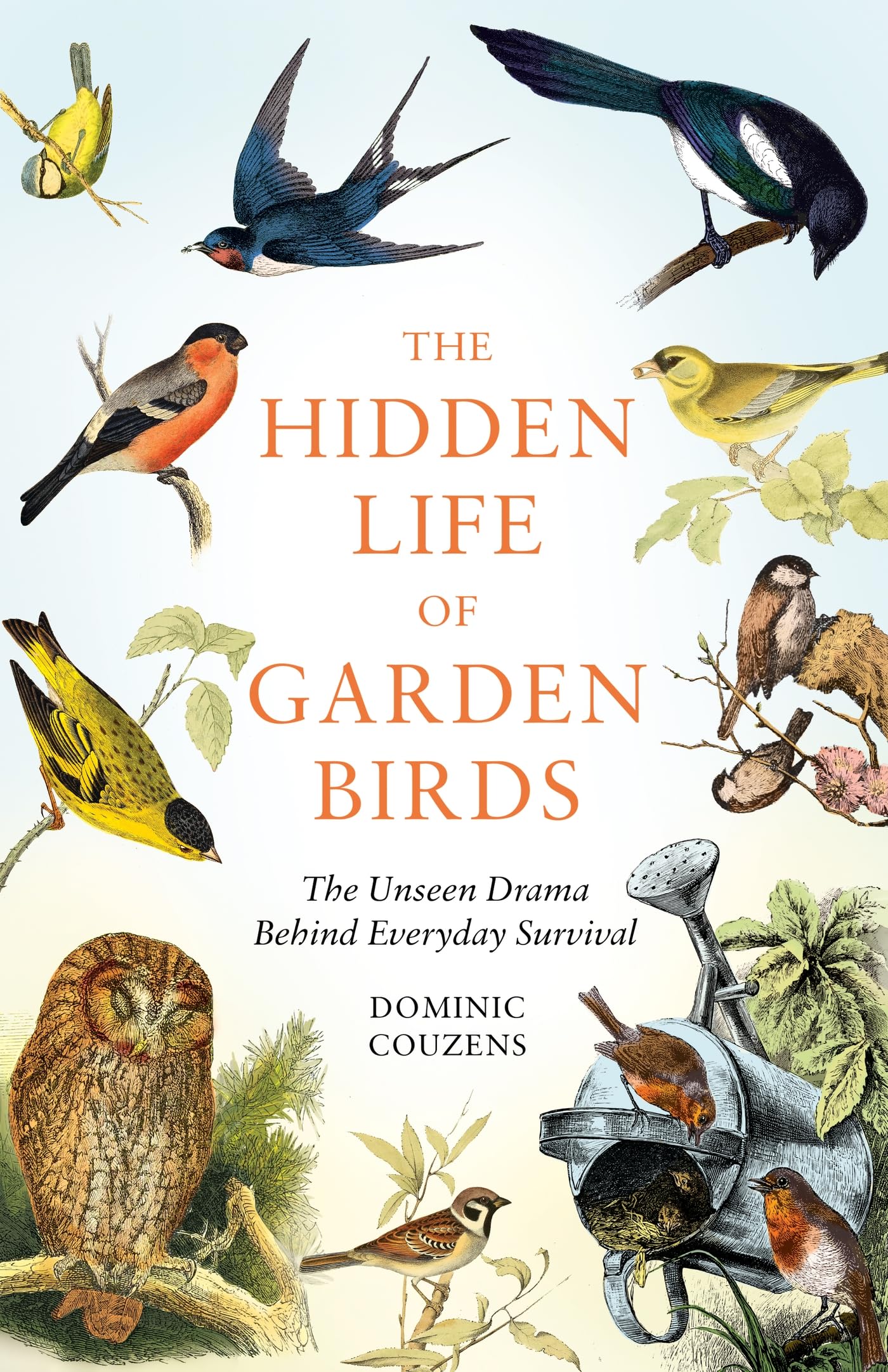 Dominic Couzens: Hidden Life of Garden Birds (Hardcover, 2024, Octopus Publishing Group)