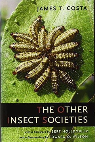 James T. Costa: The Other Insect Societies (2006)