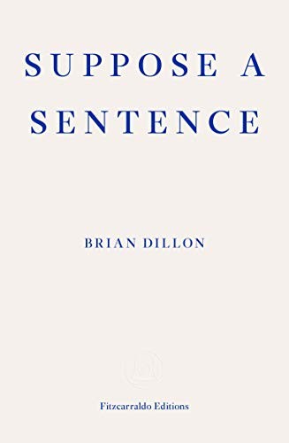 Brian Dillon: Suppose a Sentence (Paperback, Fitzcarraldo Editions)