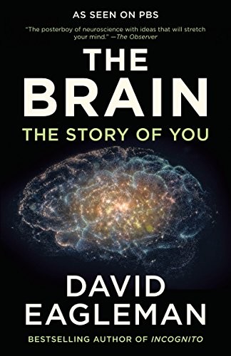 David Eagleman: The Brain (Paperback, 2017, Vintage)