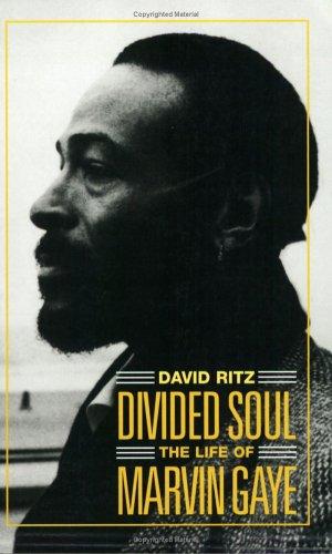 David Ritz: Divided Soul (Paperback, 1995, Omnibus Press)