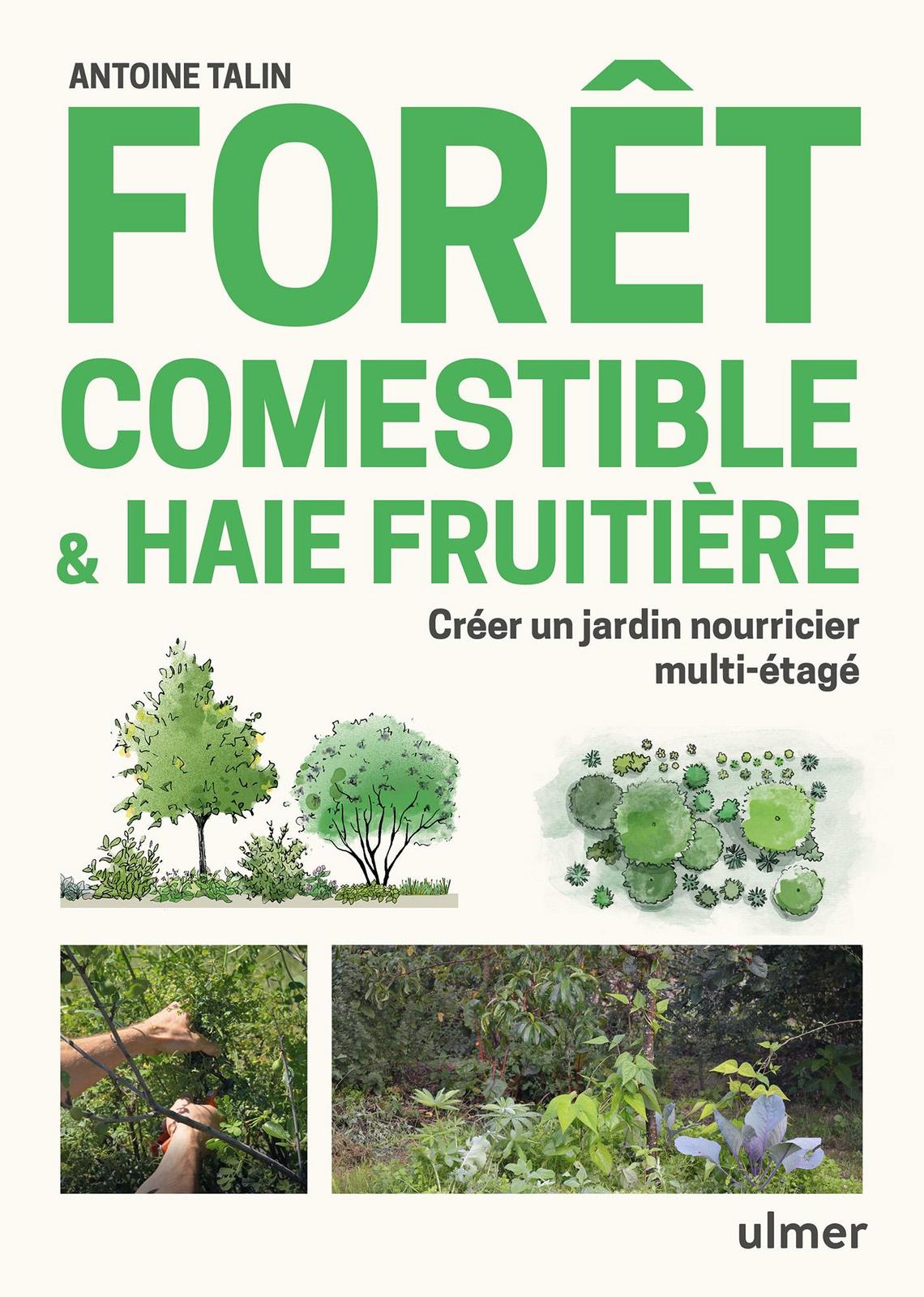 Antoine Talin: Forêt comestible & haie fruitière (Paperback, French language, 2021, Ulmer)