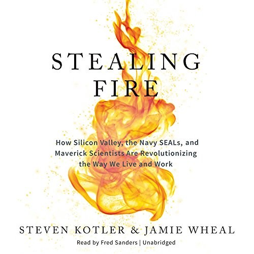 Steven Kotler, Jamie Wheal: Stealing Fire (AudiobookFormat, 2017, HarperCollins Publishers and Blackstone Audio)