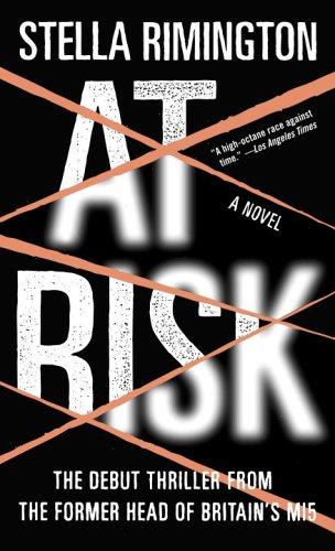 Stella Rimington: At Risk (Paperback, 2006, Vintage)