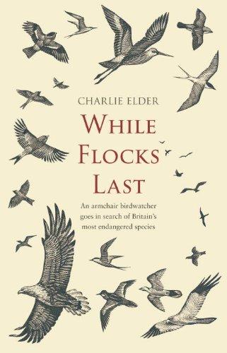 Charlie Elder: While Flocks Last (Paperback, 2009, Corgi)