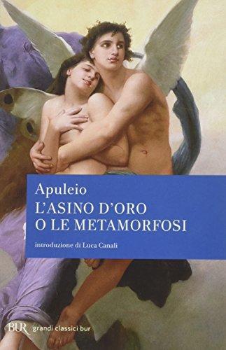 Apuleius: L 'asino d'oro o Le metamofosi, con le xilografie dell'edizione veneziana del 1519 (Italian language, 2001)