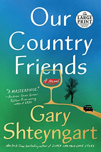 Gary Shteyngart: Our Country Friends (Paperback, Random House Large Print)