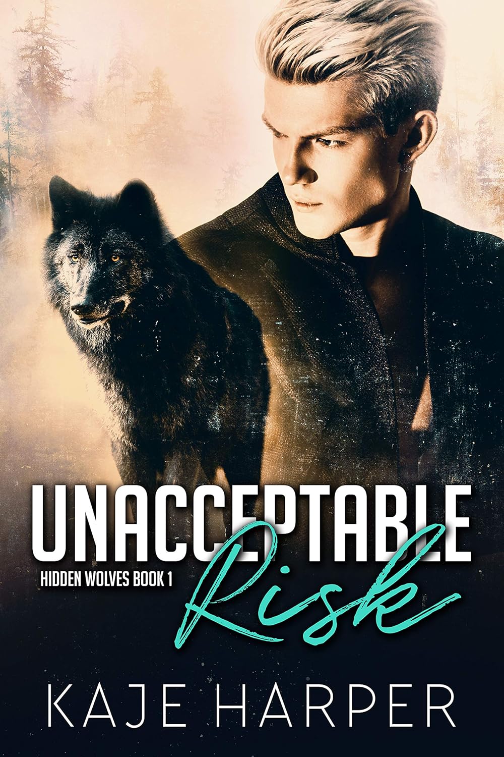 Kaje Harper: Unacceptable Risk (EBook, MLR Press)