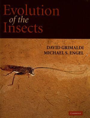 Michael S. Engel, David Grimaldi: Evolution of the Insects