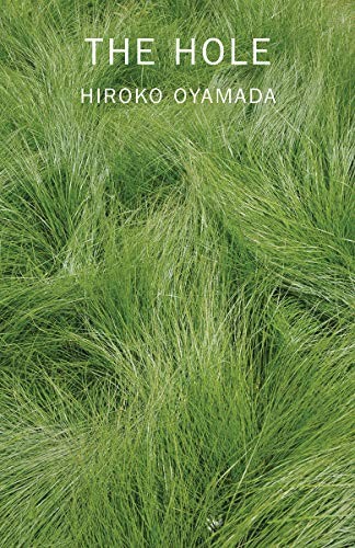 David Boyd, Hiroko Oyamada: The Hole (Paperback, 2020, New Directions)