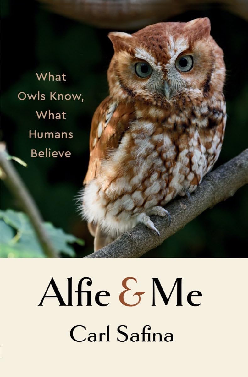 Carl Safina: Alfie & Me (Hardcover, W. W. Norton & Co. (NY))