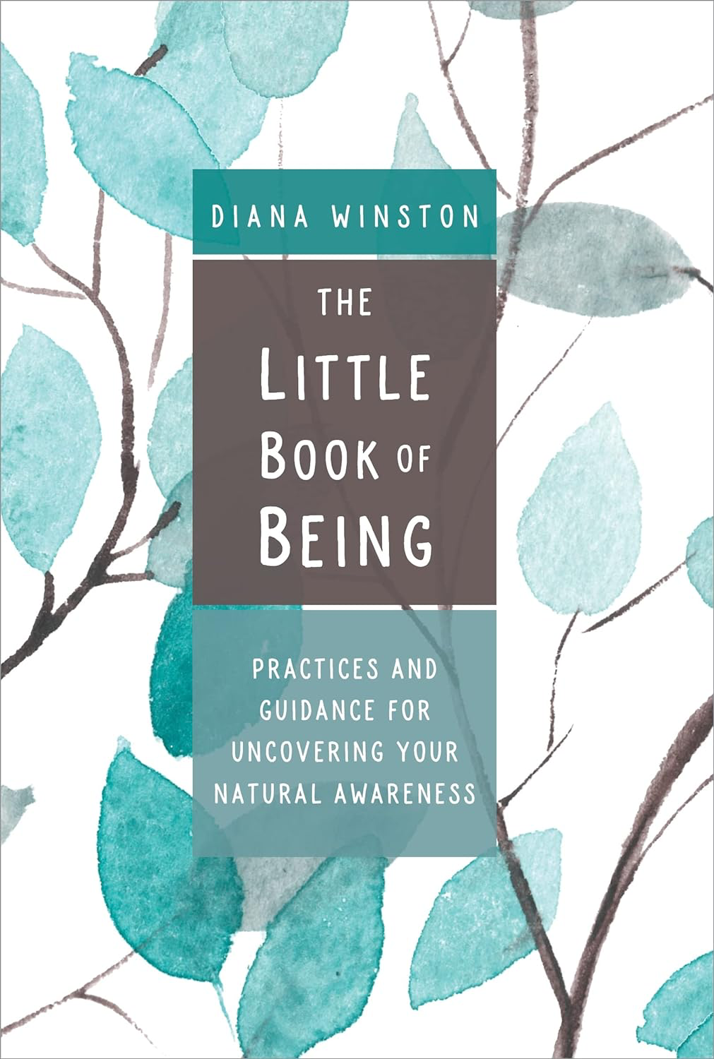Diana Winston: Little Book of Being (2019, Sounds True, Incorporated)