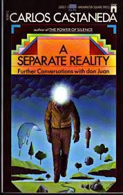 Carlos Castaneda: Separate Reality (Paperback, 1982, Pocket Books)