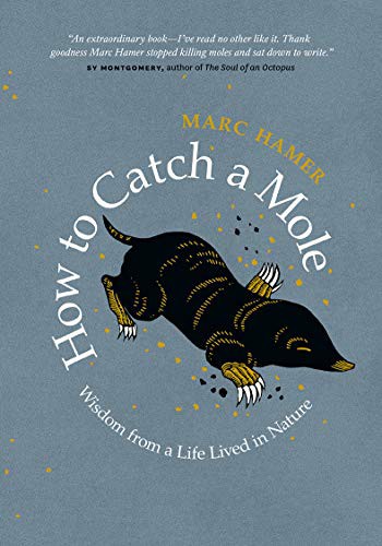Marc Hamer: How to Catch a Mole (Paperback, 2022, Greystone Books)