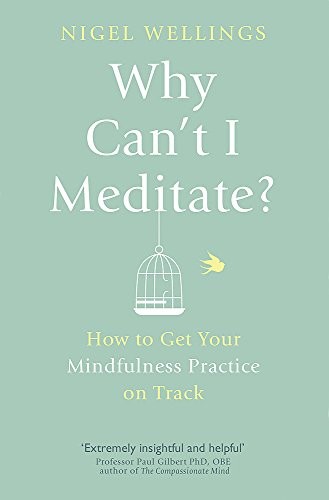 Nigel Wellings: Why Can't I Meditate?: How to Get Your Mindfulness Practice on Track (2015, Piatkus Books)