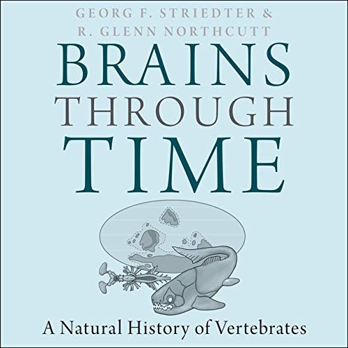 R Glenn Northcutt, Georg Striedter, Tom Perkins: Brains Through Time Lib/E (AudiobookFormat, 2020, HighBridge Audio)