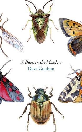 Dave Goulson: A Buzz in the Meadow (2014)